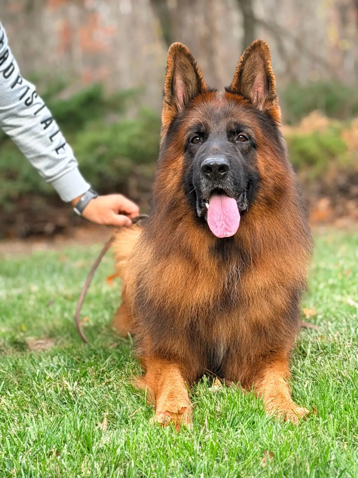 WhatsApp Image 2025-11-20 at 21.33.55_1d9e86a6