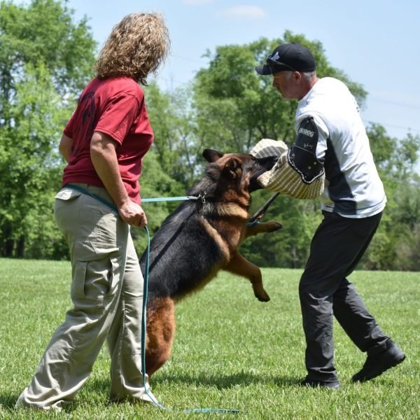 Yasko-Vom-Hunengrab-4-1024x964